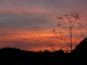 ... ein schöner Sonnenuntergang hat uns entschädigt.