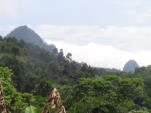 Blick zum Pico Papagaio