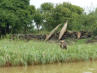 Tankwas, die traditionellen Papyrus-Boote