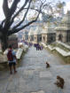 518 Tempel gehören zur Anlage von Pashupatinath