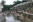 Tempel direkt am Fluss Bagmati zu Ehren verstorbener Persönlichkeiten 